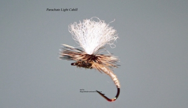 Parachute Light Cahill